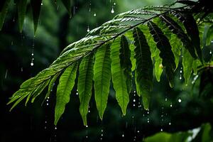 regndroppar klängande till lövverk levande visa upp de verkningarna av en tropisk storm foto