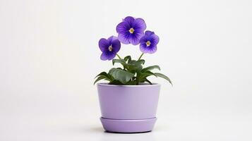 Foto av violett blomma i pott isolerat på vit bakgrund. generativ ai