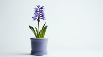 Foto av blåklocka blomma i pott isolerat på vit bakgrund. generativ ai