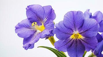 Foto av skön spiderwort blomma isolerat på vit bakgrund. generativ ai