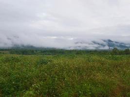 vackert dimma landskap i bergen foto