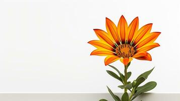 Foto av skön gazania blomma isolerat på vit bakgrund. generativ ai