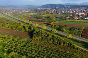 vingårdar i Vosges foten, Frankrike