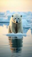 klimat förändra. en polär Björn står på en smältande glaciär foto