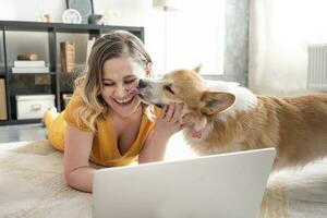 Lycklig kvinna använder sig av bärbar dator i levande rum på Hem med hund slick över henne ansikte foto
