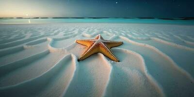 blänkande sjöstjärna på en skön maldiverna strand foto