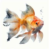 gyllene fisk simning i kinesisk målning stil på vit bakgrund foto