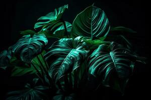 vibrerande bakgrundsbelyst tropisk löv på mörk grön bakgrund foto