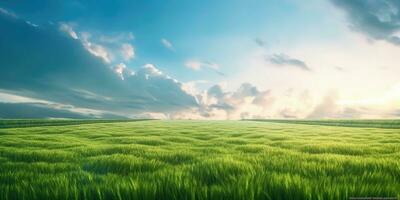 lugn landskap av grön fält och azurblå himmel foto