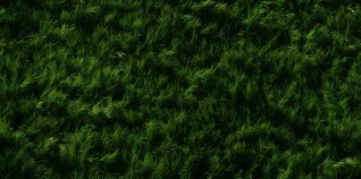 frodig grön artificiell torva i en naturlig gräs- bakgrund foto