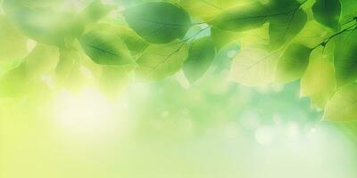 lugnande grön bakgrund med löv och mjuk bokeh ljus foto