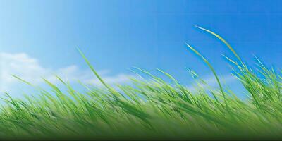 vibrerande blå himmel med ung gräs i 8 K upplösning foto