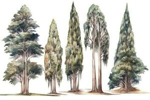 ritad för hand vattenfärg cypress träd samling en skog av cypress träd packa generativ ai foto