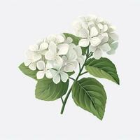 minimalistisk animering av hortensia blommor ai genererad foto