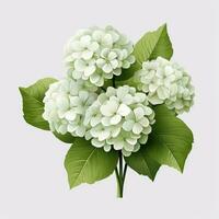 minimalistisk animering av hortensia blommor ai genererad foto