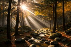 Foto av de höst berg skog, skog flod, mossiga stenar, Sol strålar tapet