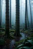 Foto av de mörk ryggrad skog bakgrund tapet