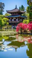 japan zen tempel todai landskap panorama se fotografi sakura blommor pagod fred tystnad foto