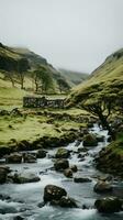 Plats stenar natur lugn nåd landskap zen harmoni resten stillhet enhet harmoni fotografi foto