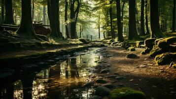 skog flod tystnad lugn nåd landskap harmoni resten stillhet enhet harmoni fotografi foto