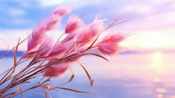 blommor fokus solnedgång lugn nåd landskap zen harmoni stillhet enhet harmoni fotografi foto