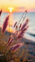 blommor fokus solnedgång lugn nåd landskap zen harmoni stillhet enhet harmoni fotografi foto