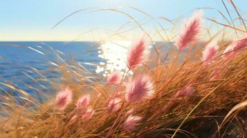 blommor fokus solnedgång lugn nåd landskap zen harmoni stillhet enhet harmoni fotografi foto