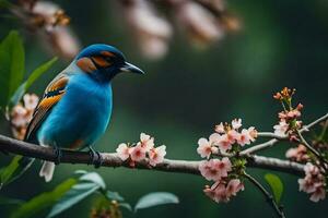 Foto tapet de fågel, blommor, natur, vår, de fågel, vår, de fågel,. ai-genererad