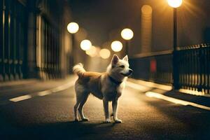 en hund stående på de gata på natt. ai-genererad foto