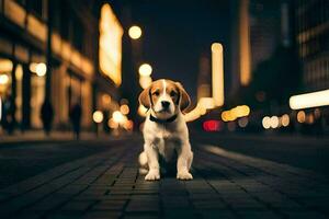 en beagle hund Sammanträde på de gata på natt. ai-genererad foto