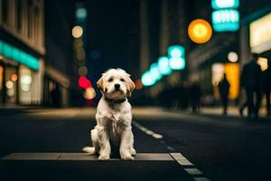 en hund Sammanträde på de gata på natt. ai-genererad foto