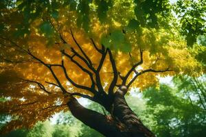 en träd med gul löv i de skog. ai-genererad foto