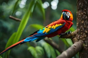 en färgrik papegoja sitter på en gren i de skog. ai-genererad foto