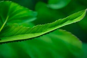 en stänga upp av en blad med grön löv. ai-genererad foto