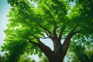 en träd med grön löv i de Sol. ai-genererad foto