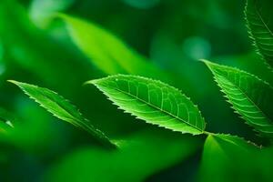 grön te löv i de skog. ai-genererad foto