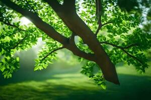 en träd gren i de solljus med grön löv. ai-genererad foto