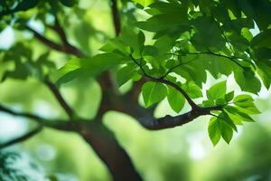 en träd gren med grön löv. ai-genererad foto