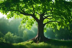 en träd med grön löv och solljus lysande genom Det. ai-genererad foto