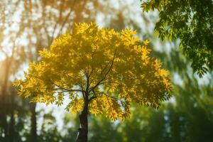 en träd med gul löv i de Sol. ai-genererad foto