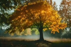en enda träd i de mitten av en fält med de Sol lysande genom de löv. ai-genererad foto