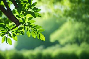 grön löv på en träd gren i de Sol. ai-genererad foto