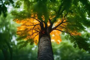 en träd med en ljus orange ljus lysande genom Det. ai-genererad foto