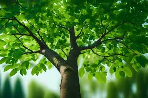 en träd med grön löv i de bakgrund. ai-genererad foto