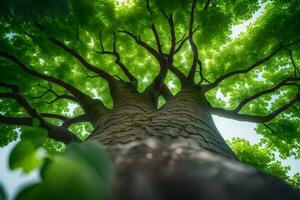 en träd med grön löv och solljus. ai-genererad foto