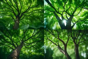 fyra annorlunda visningar av träd i annorlunda färger. ai-genererad foto