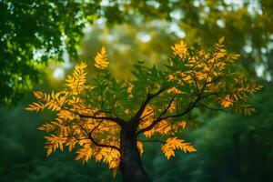 en träd med gul löv i de solljus. ai-genererad foto