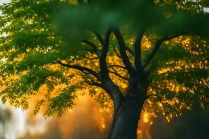 en träd med de Sol lysande genom Det. ai-genererad foto