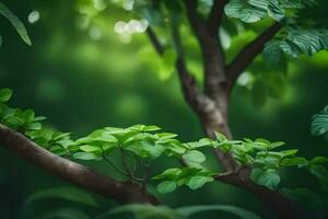 en grön träd med löv och solljus. ai-genererad foto