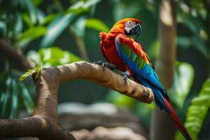 en färgrik papegoja sitter på en gren i en Zoo. ai-genererad foto
